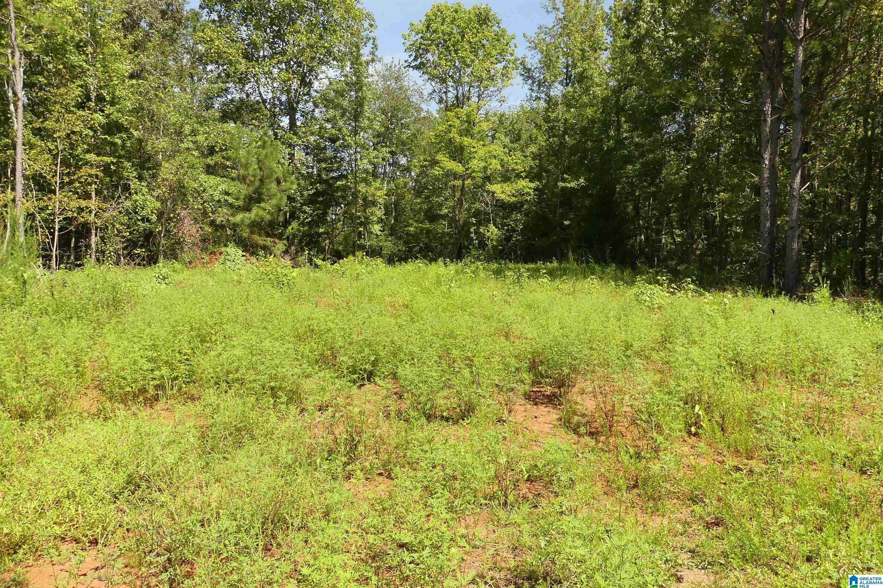 Image 4: CLEARED FLAT LOT
