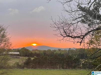 314 TALLADEGA CREEK ROAD