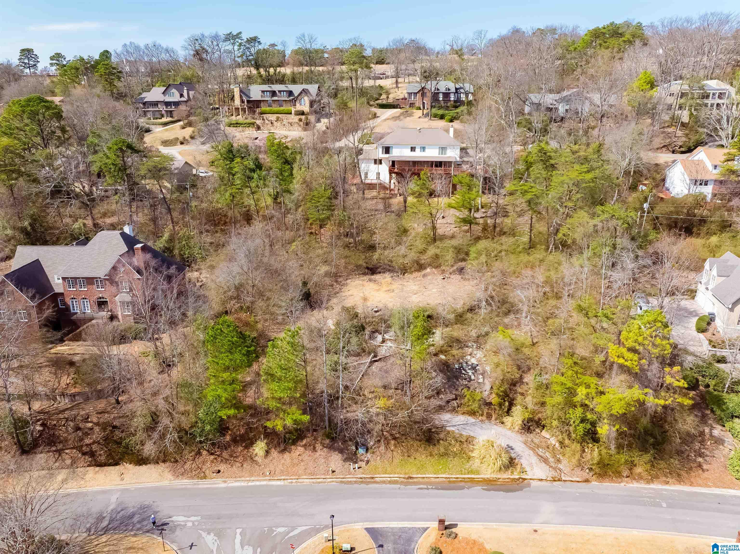 Image 2: Aerial View