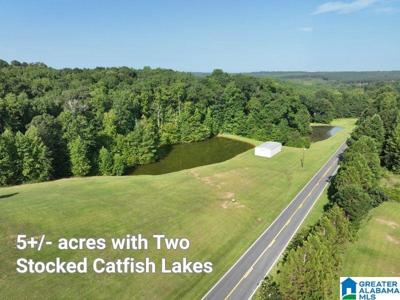 5.21acres COUNTY ROAD 61