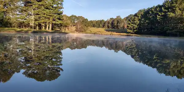 Image 3: View