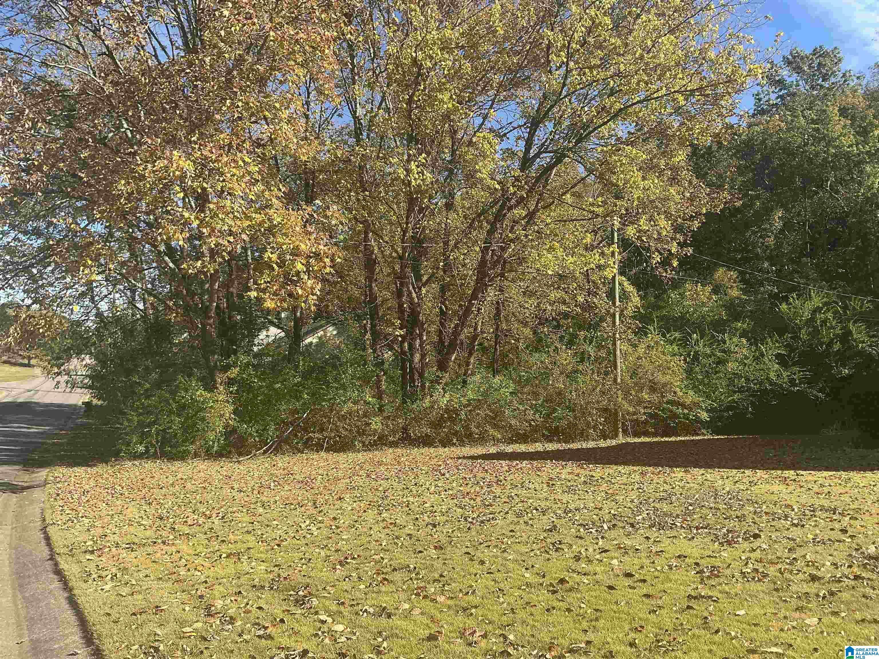 Image 3: Right side view