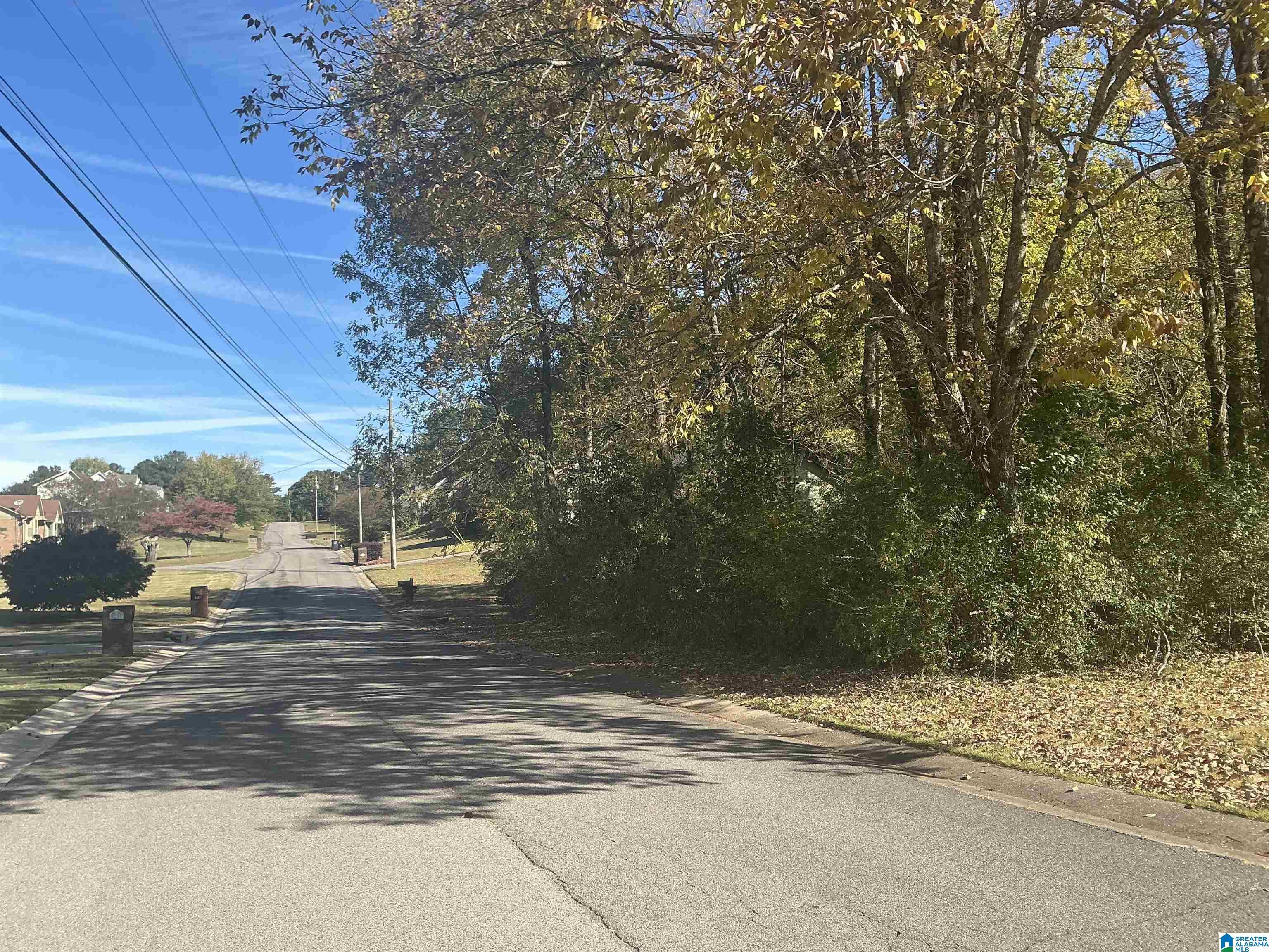 Image 4: Approaching street view