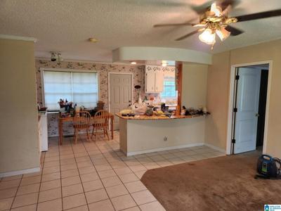 235 SINK HOLE ROAD