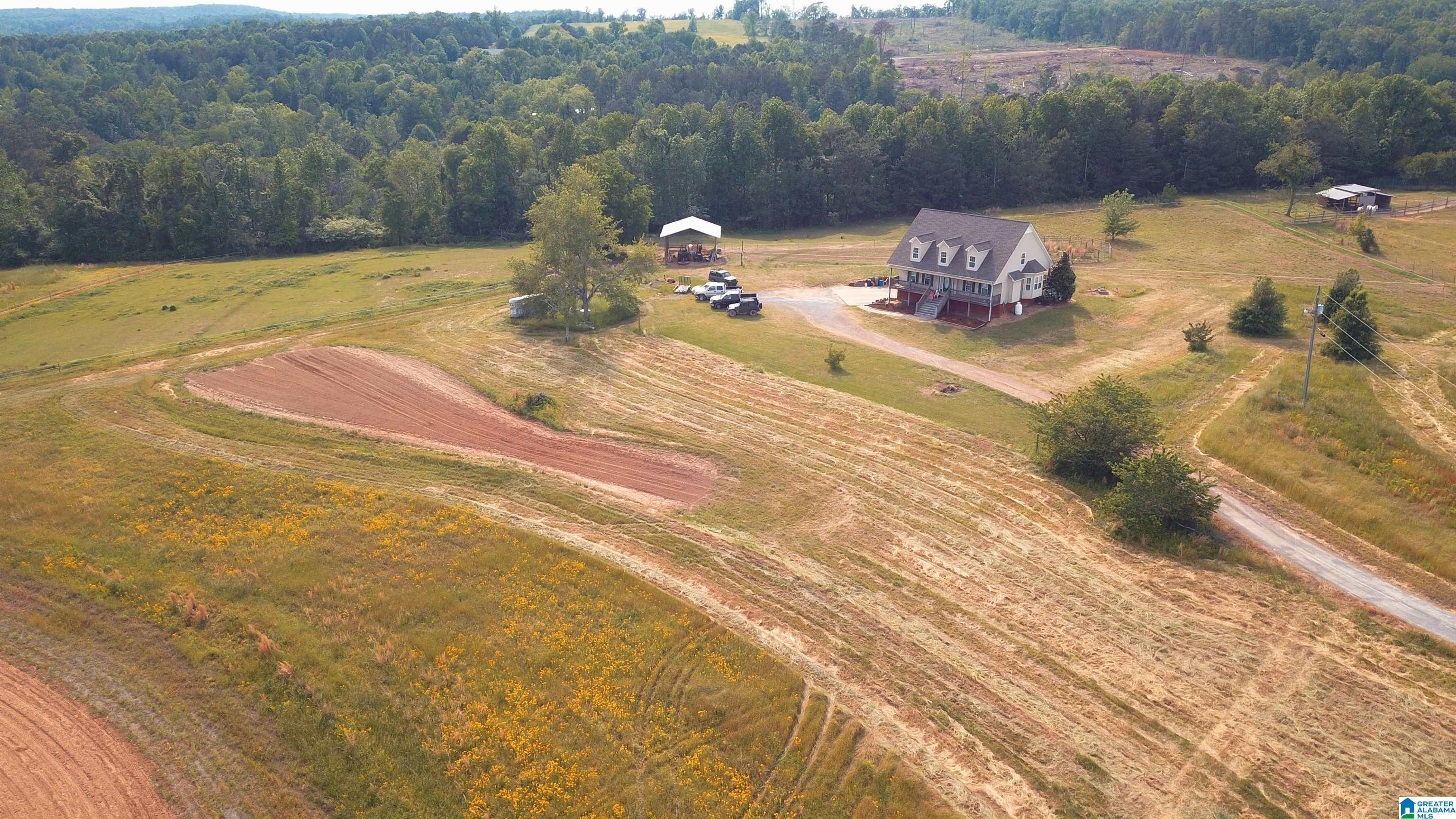 Image 2: 11 Acre Homestead in Hayden AL