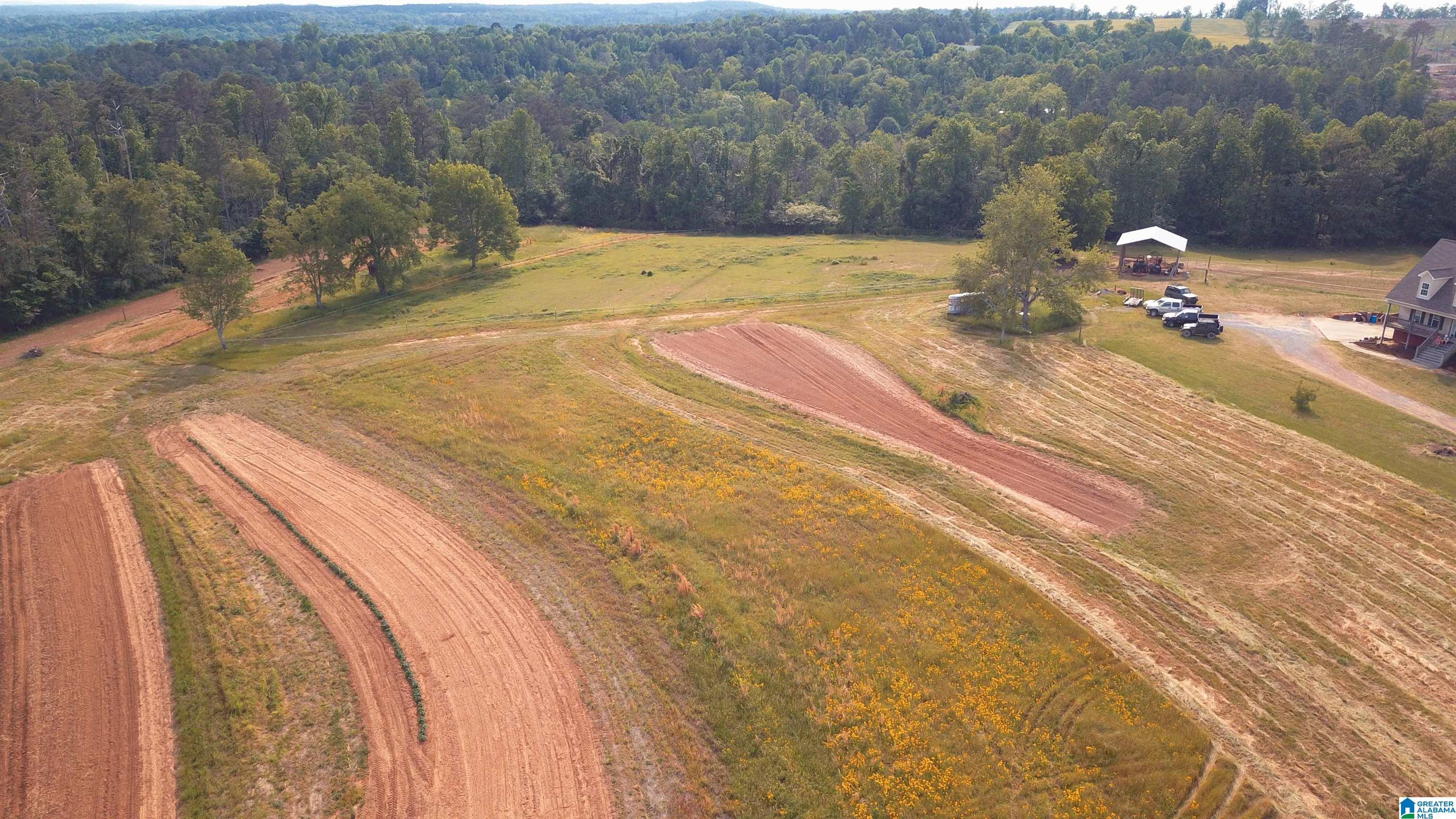 Image 3: Land that had crops, horses and wildlife