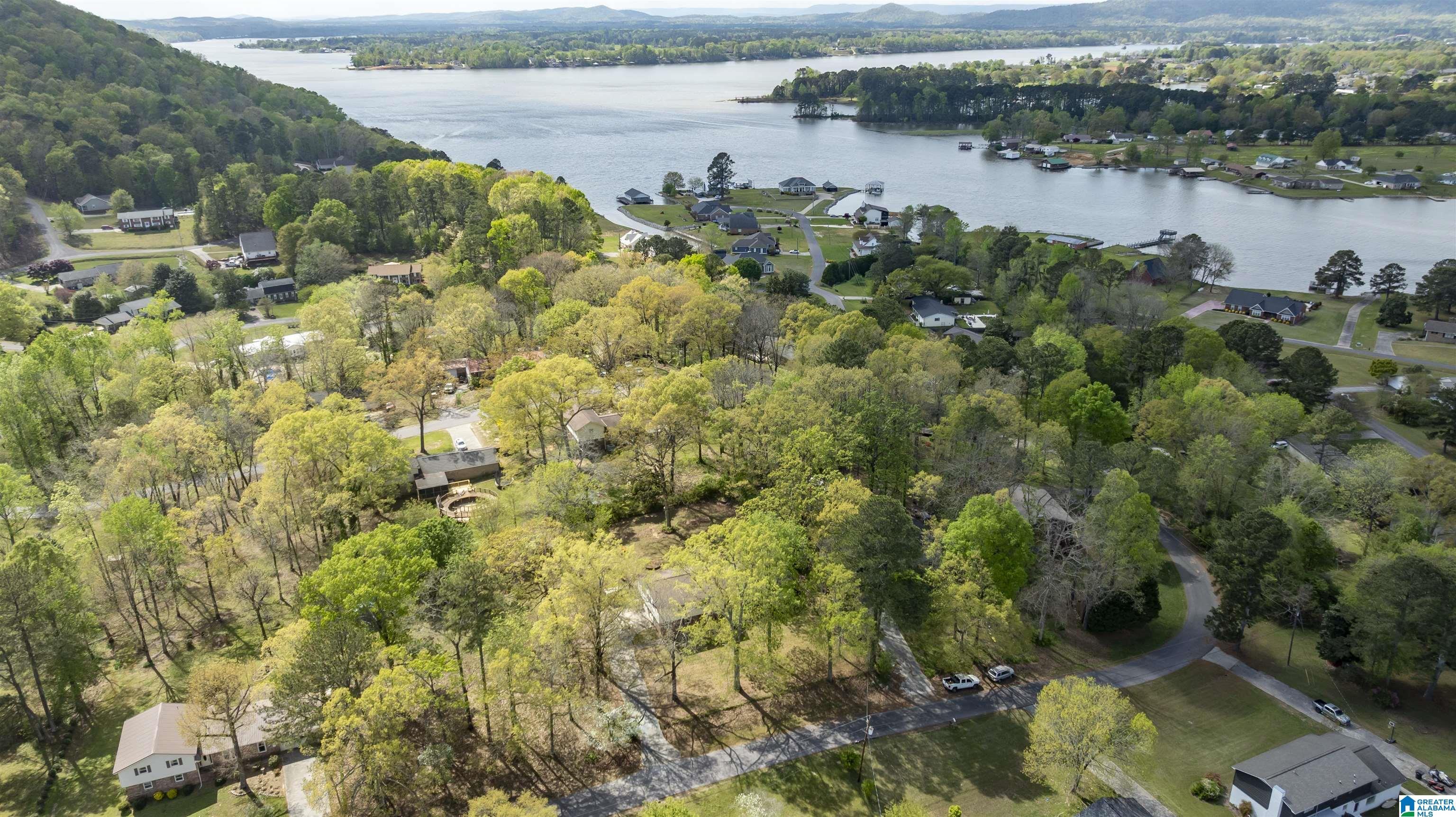 Image 4: Aerial View