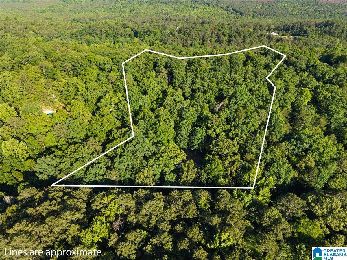 Image 3: Aerial View