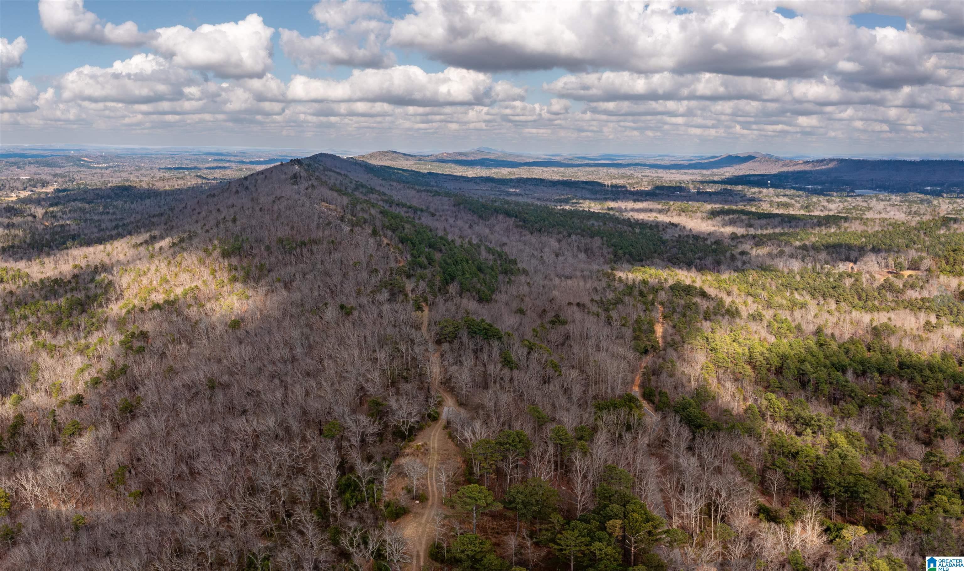 Image 1: View
