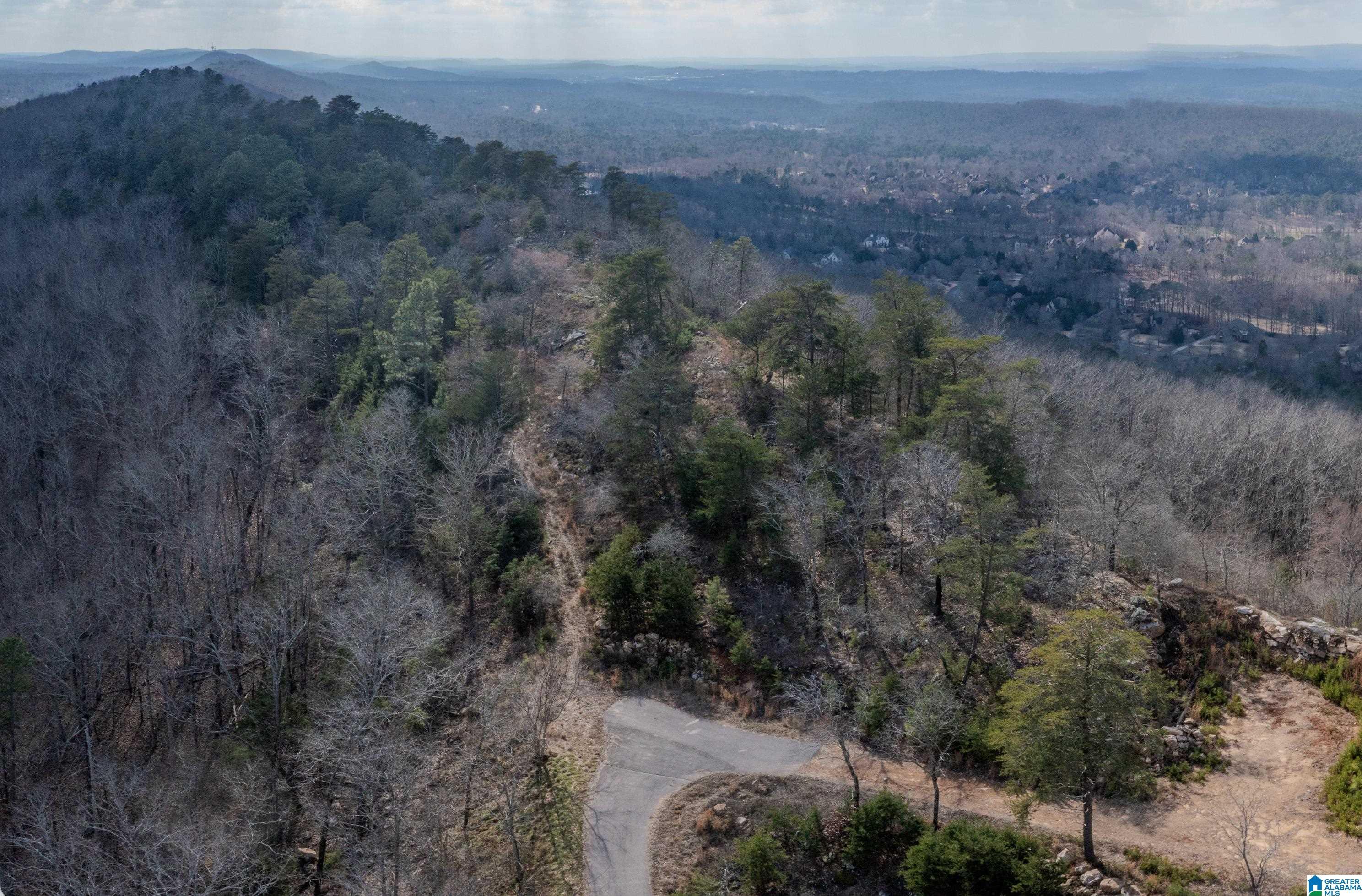Image 4: Aerial View