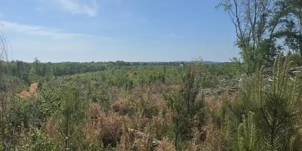 Tract 8 COUNTY ROAD 256
