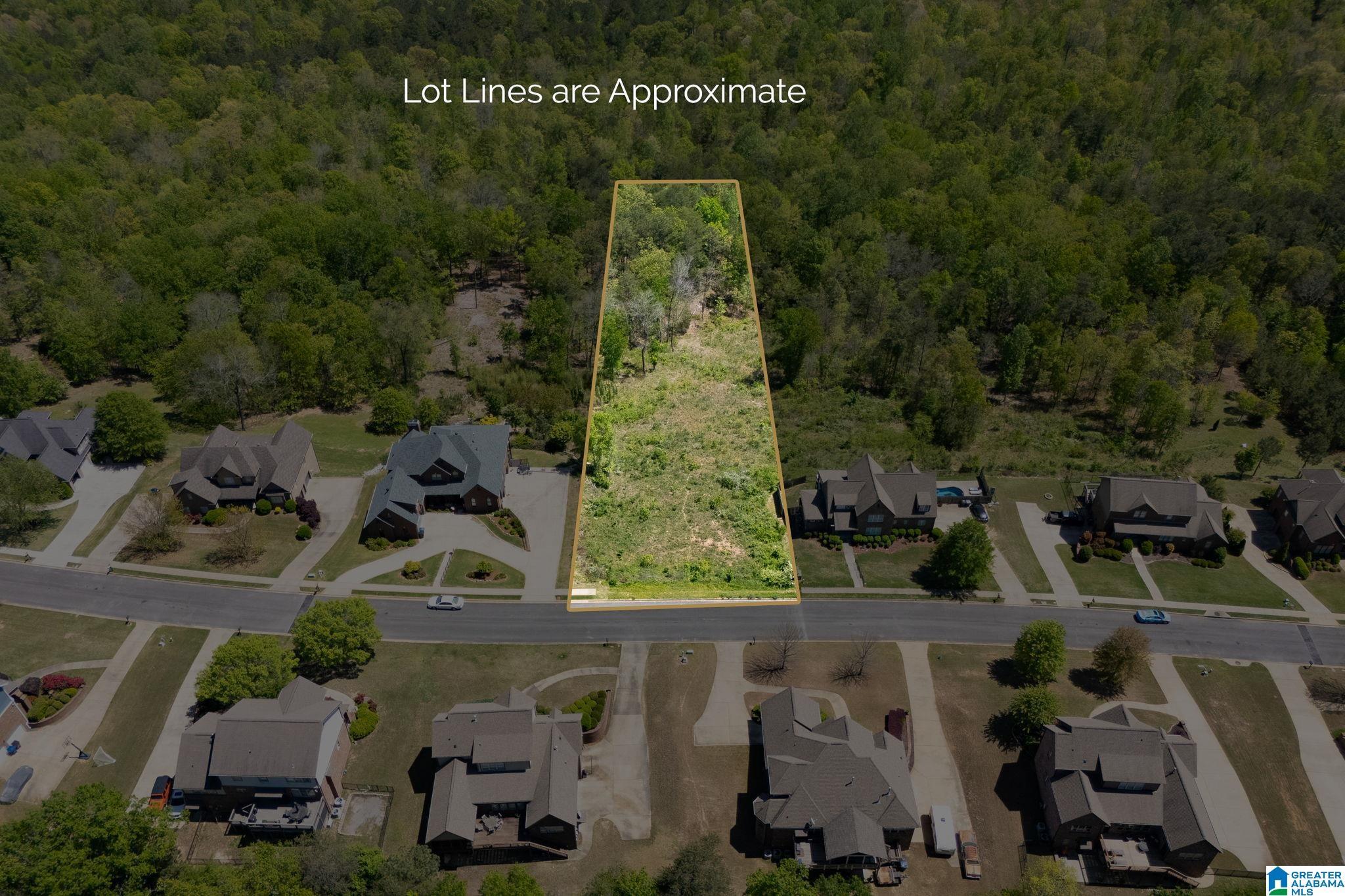 Image 4: Aerial View