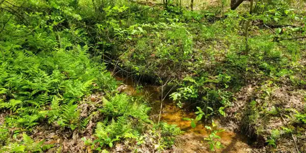 4599 COUNTY ROAD 82