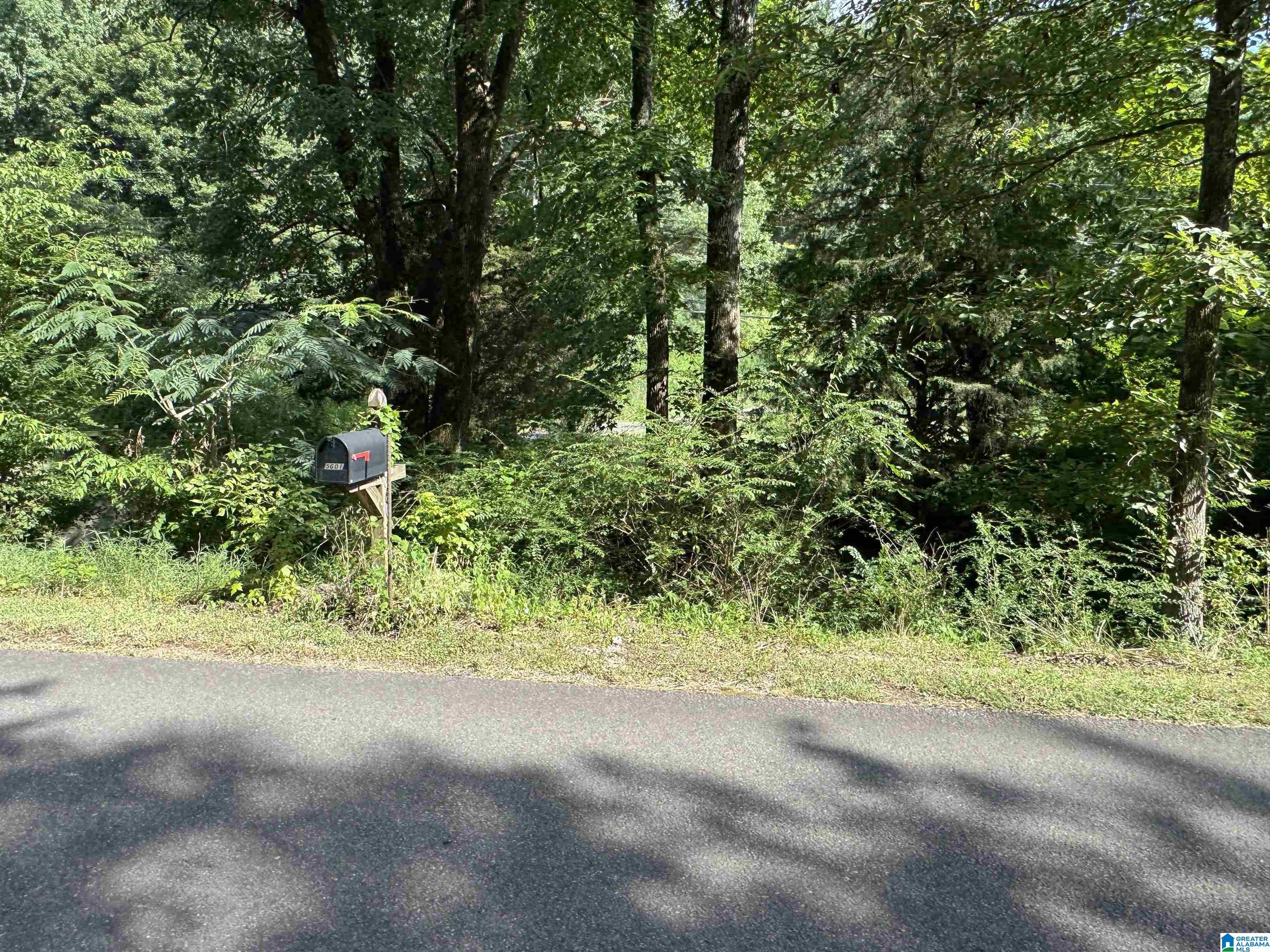 Image 4: 9.78 acres of wooded land with a creek and view