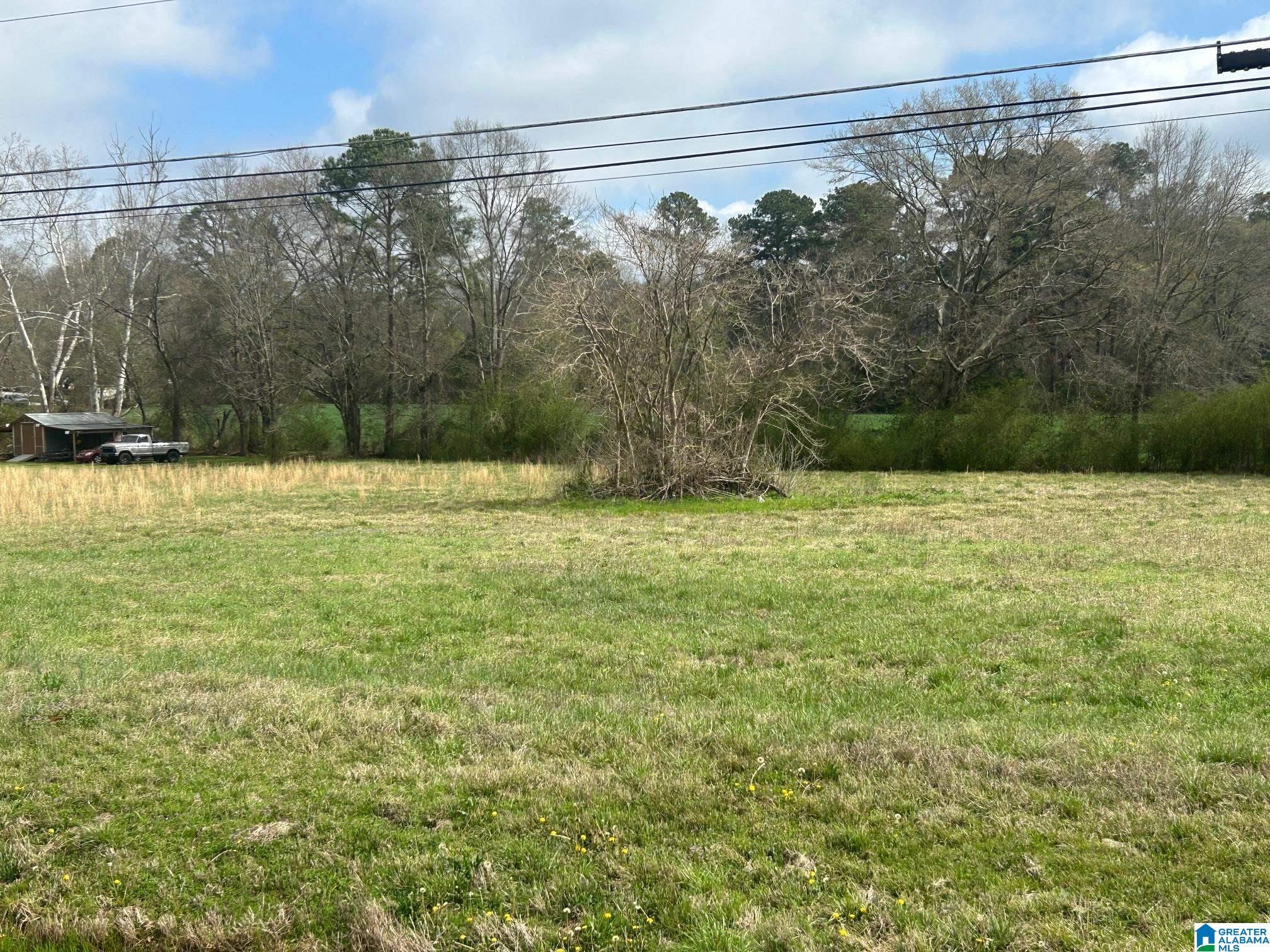 Image 4: Yard