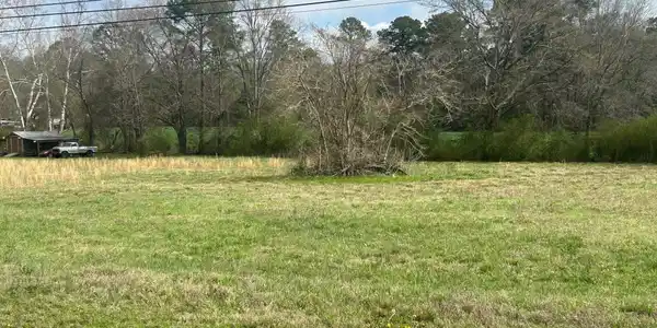 Image 4: Yard