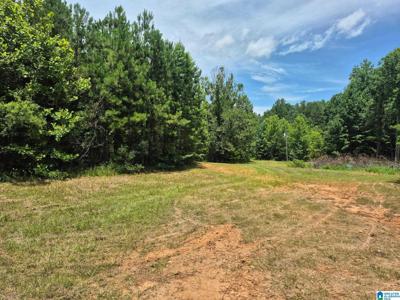 0 COUNTY ROAD 928