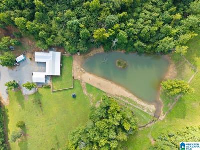 1115 MOUNTAIN GAP ROAD