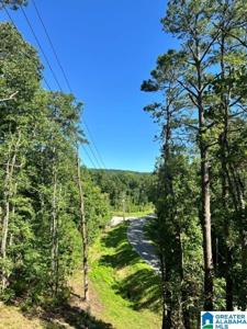 130 MOUNTAIN CREST ROAD