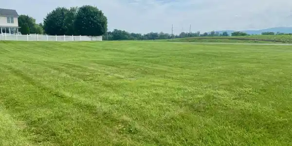 SUMMER BREEZE LANE LOT 20