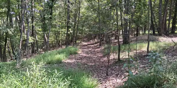 Lot 84 ROUNDTOP LANE
