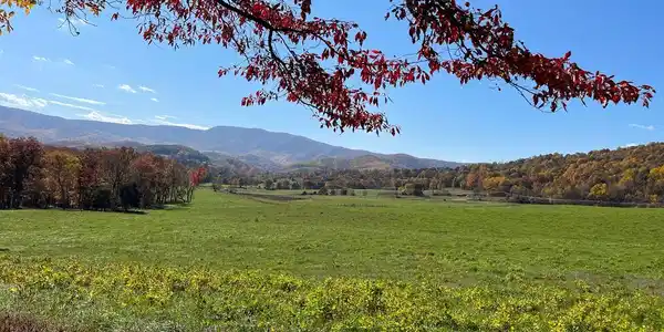 Lot 63 BUCK MOUNTAIN RD
