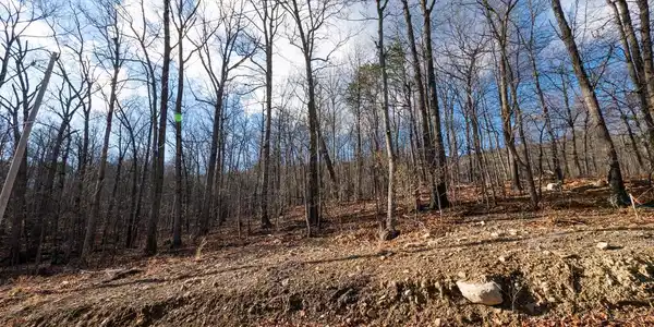 Lot 21 CARDINAL DRIVE