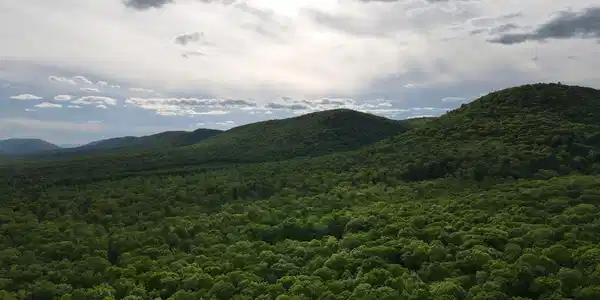 0 GROUSE TRL TRAIL
