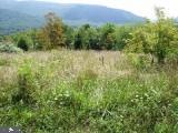Lot #2 BLUEBIRD LANE