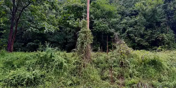 LOT 11B LUCAS HOLLOW ROAD