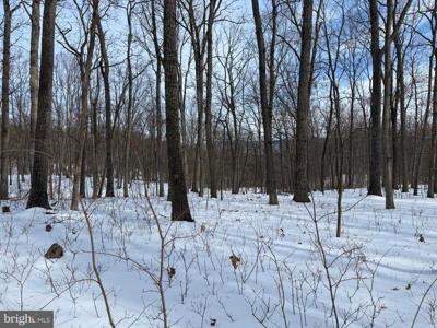 Lot 6 PAULS WOODS RD
