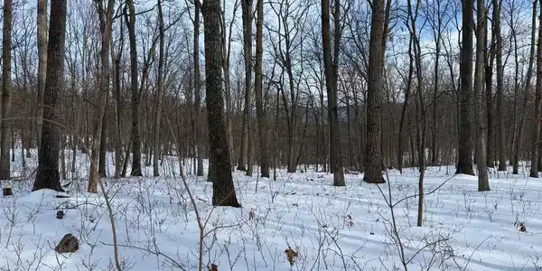 Lot 6 PAULS WOODS RD