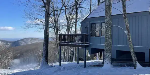 142 SQUIRREL TREE LANE