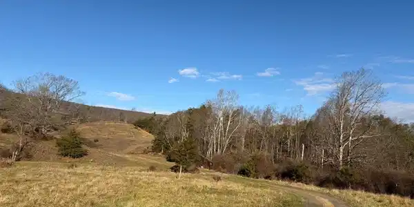 34.58 AC OFF SPERRY'S RUN RD