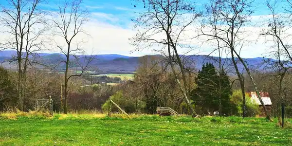 49 + Acres SUNNYSIDE ROAD