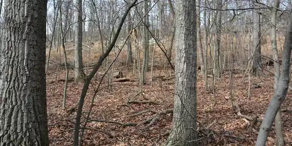 LOT 27 IROQUOIS TRAIL