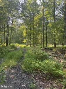 Lots 1,2,3 FIVE FORKS LANE