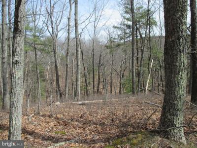 RT 259/4