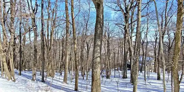 671 SHAMOKIN SPRINGS TRL