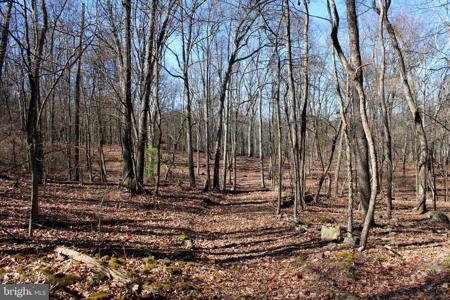 LOT 7 HAMILTON ESTATES DRIVE