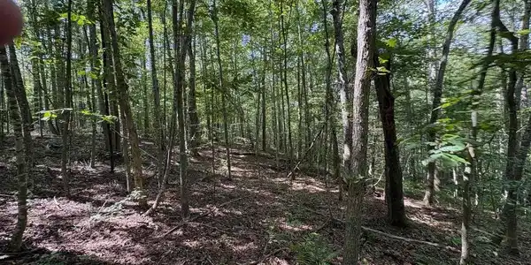 TM 23-5A MITCHELL MOUNTAIN RD