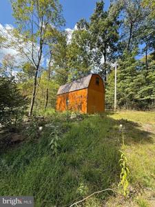 220 UPPER BALD EAGLE