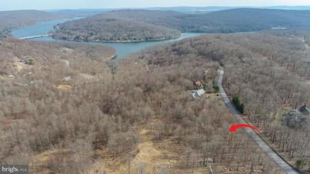 Lot 5 SHINGLE CAMP ROAD