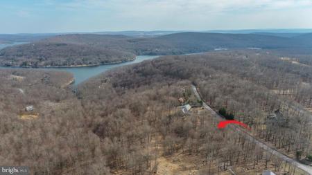 Lot 6 SHINGLE CAMP ROAD