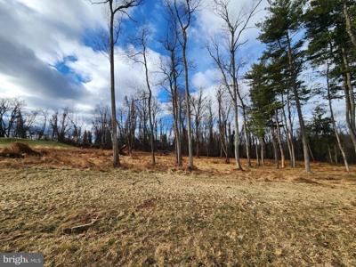 Lot 11 SAWTOOTH OAK DR