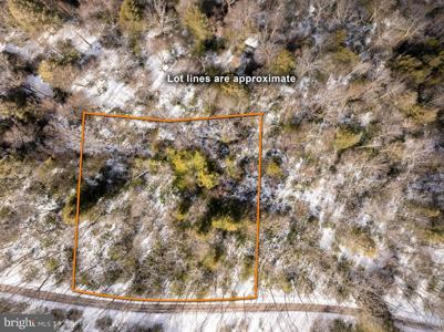 233 RHODODENDRON DRIVE