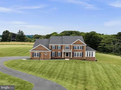 35396 GLENCOE COURT