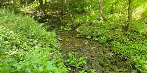 00 CARLISLE GAP ROAD