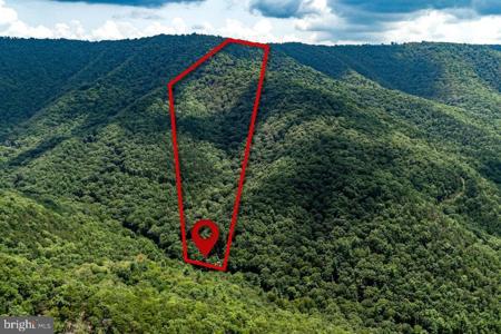 Lot 103 WILSON RUN TRAIL