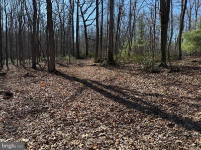 LOTS 14 & 15 ROCK CREEK TRAIL